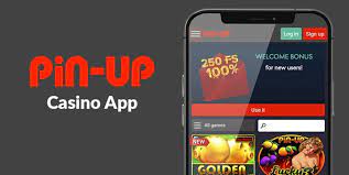 Pin Up Gambling establishment mobile application on Android apk documents in Bangladesh